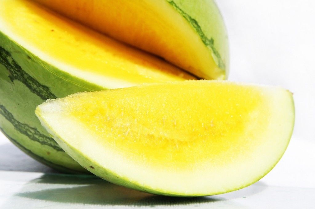 Yellow Watermelon