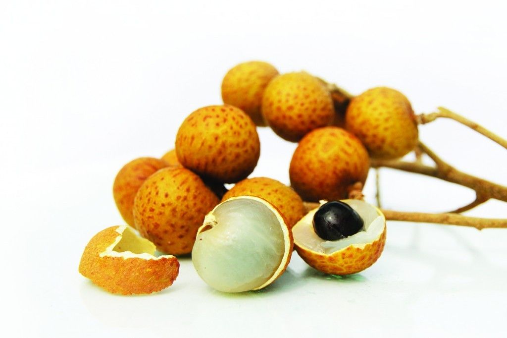 Longan