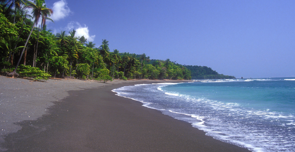 KUSAMBA BEACH